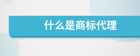 商標(biāo)代理 企業(yè)品牌的法律守護(hù)者